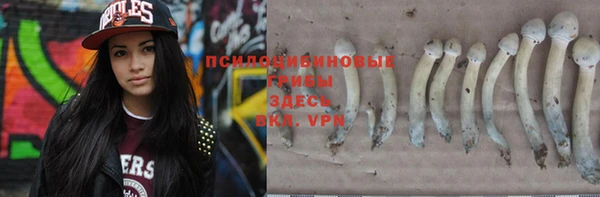 не бодяженный Арсеньев