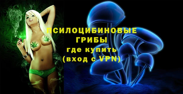 винт Баксан