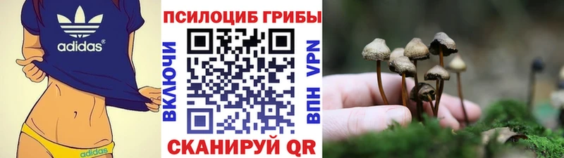 это Telegram  продажа наркотиков  Печоры  Псилоцибиновые грибы ЛСД  kraken ССЫЛКА 