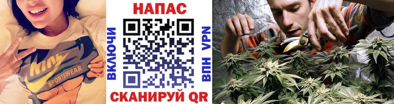 Бошки Шишки OG Kush Печоры